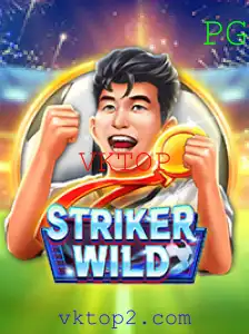 Explorando o Universo de StrikerWILD: Um Mergulho Profundo em Suas Regras e Mecânicas